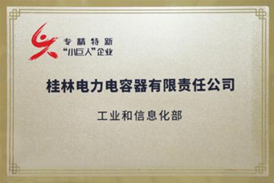 國家級“專精特新”重點小巨人企業(yè)