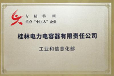 國家級(jí)“專精特新”重點(diǎn)小巨人企業(yè)